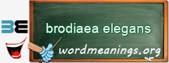 WordMeaning blackboard for brodiaea elegans